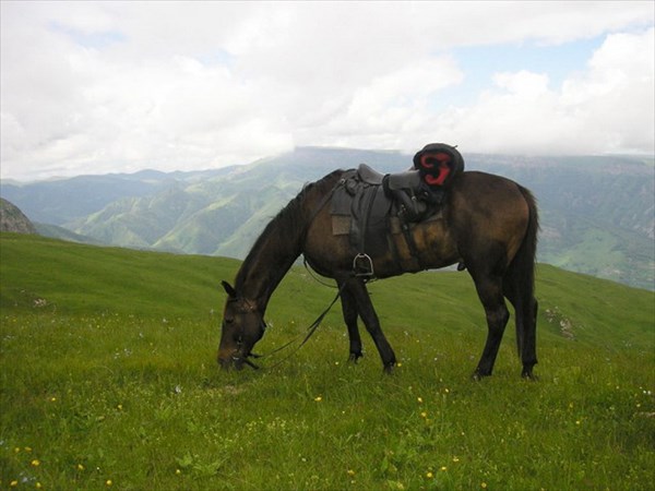 Конные походы в горах кавказа_05